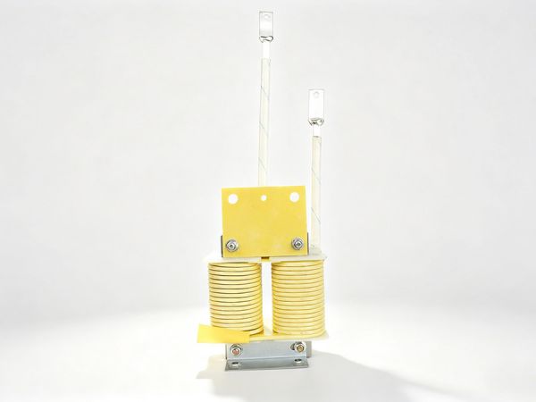 Plasma Reactor